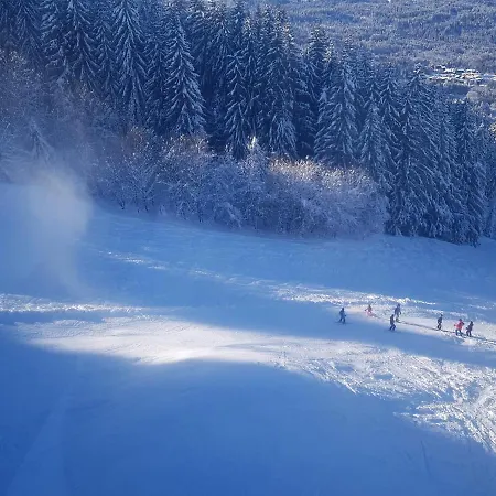 Les Frahans Samoëns Exterior foto